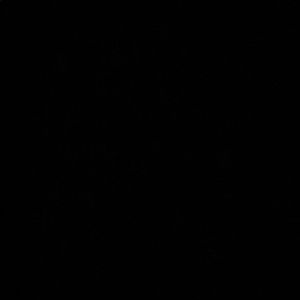 Meet your Posher, Amaris